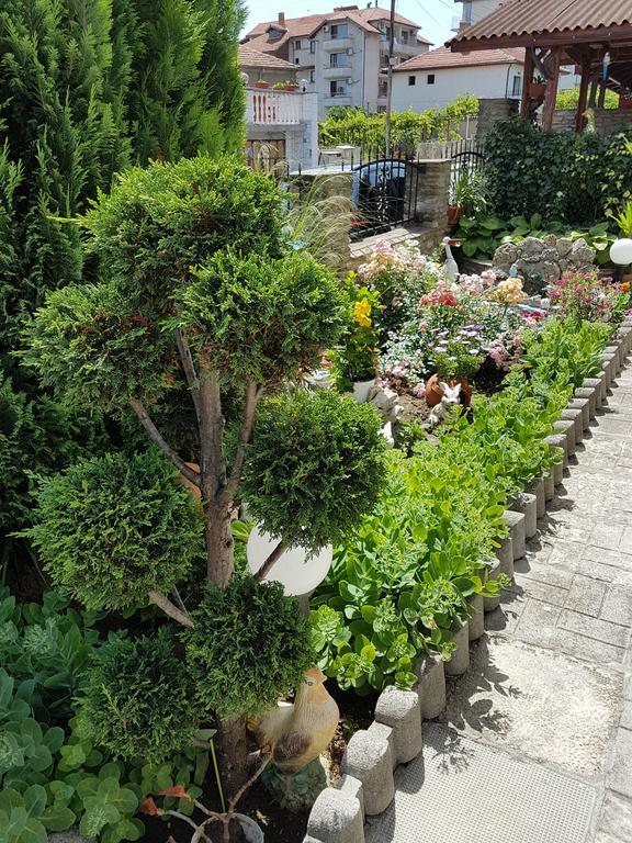 Guest Rooms Denitsa Obzor Zewnętrze zdjęcie